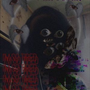 Meet your Posher, Salem